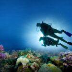 ScubaCo Diving & Travel