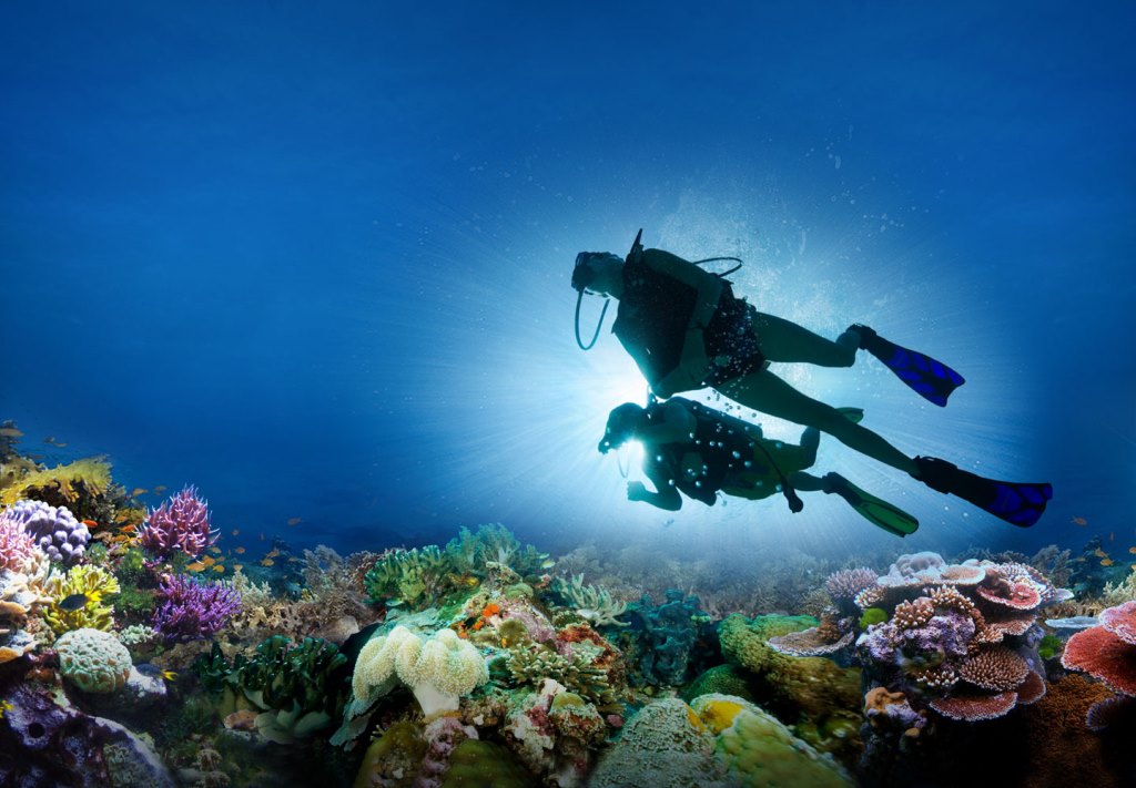 ScubaCo Diving & Travel