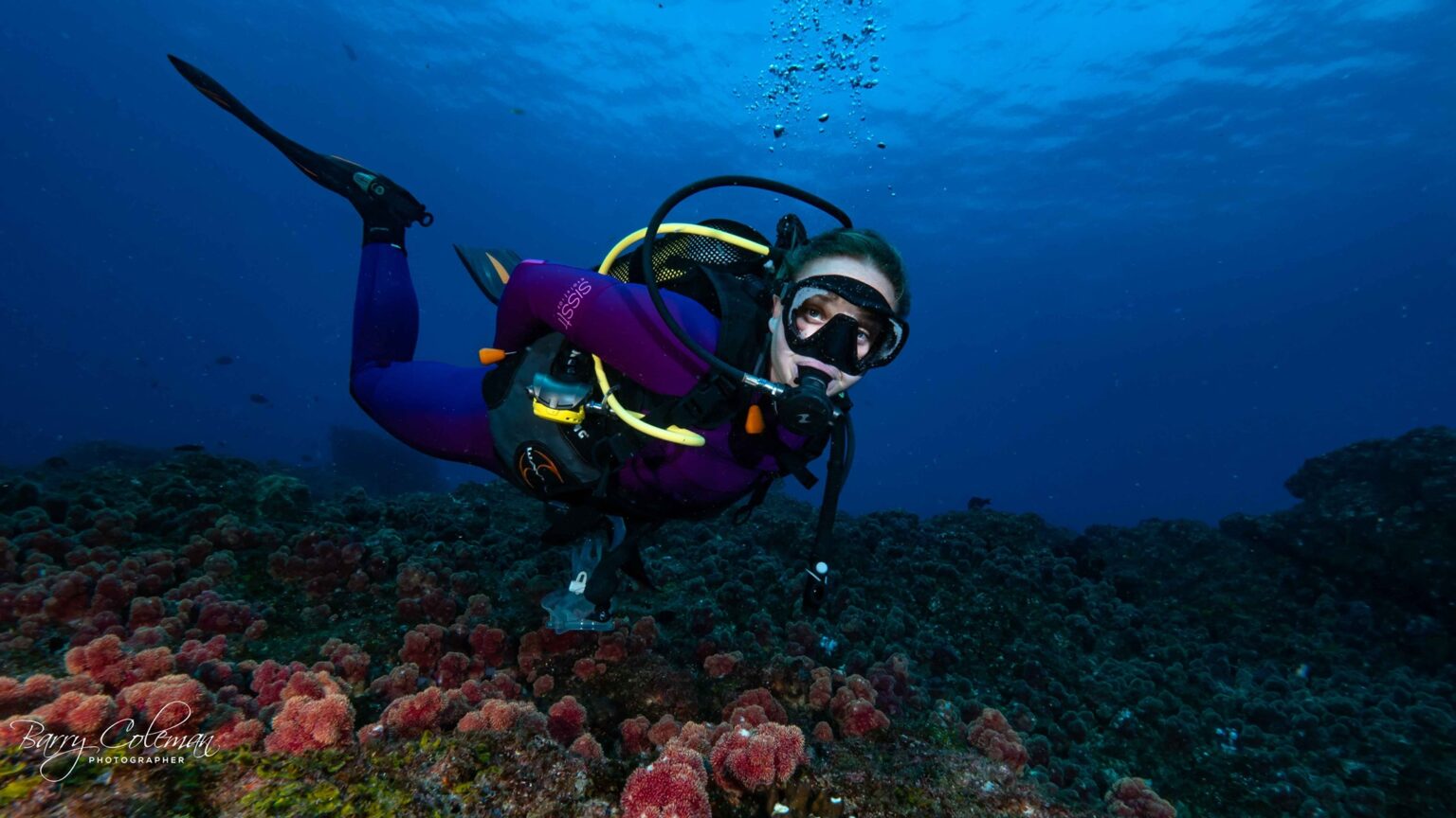 Blue Ocean Dive Resort in Umkomaas promises allround family scuba