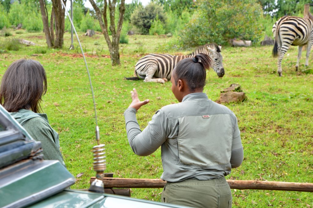 The Ultimate Family Destination for Nature Lovers - Crystal Springs Mountain Lodge