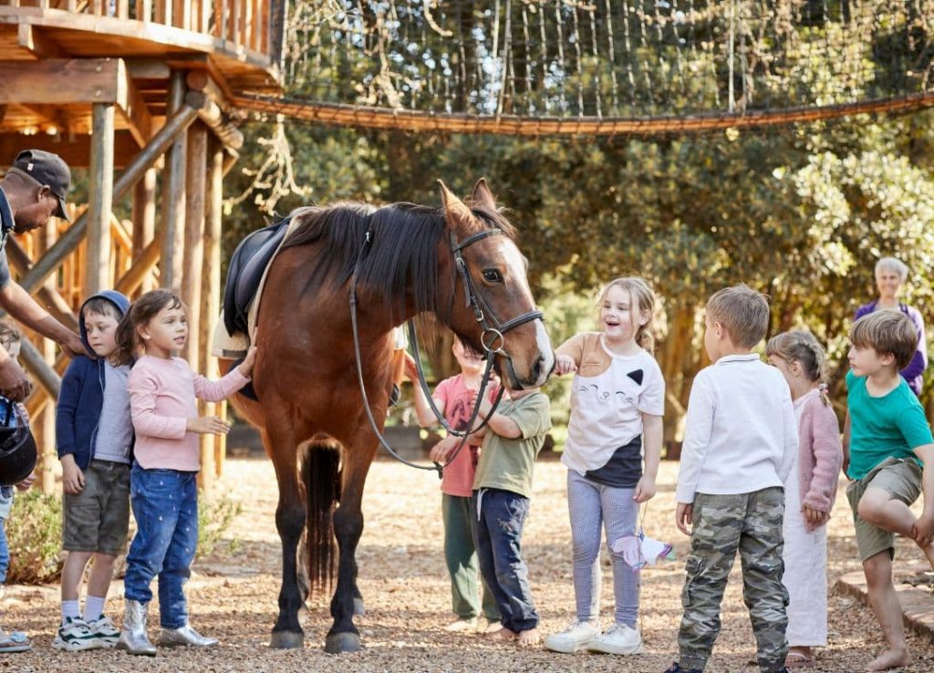 Best Places to Stay for a Family Getaway- Winelands